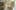 Preload Image 24