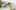 Preload Image 25