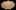 Preload Image 19